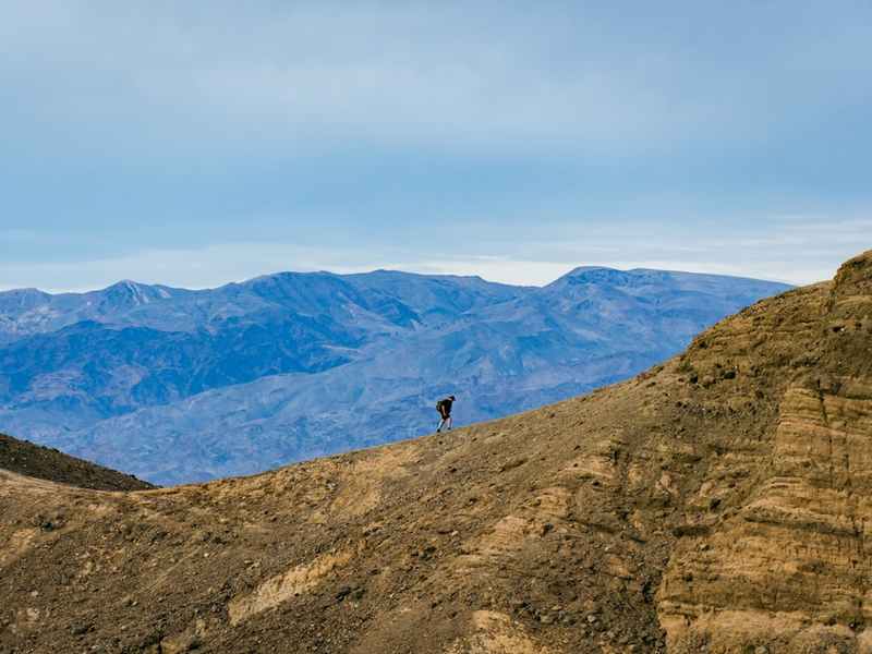 a lone bird standing on top of a mountain