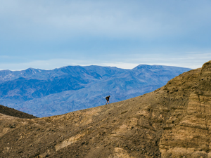 a lone bird standing on top of a mountain