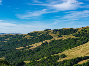 a scenic view of a mountain range with green trees
