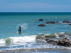 Osa Peninsula, Costa Rica - April 2021