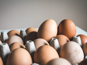 Eggs Romance