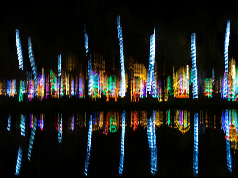 Holiday Lights Reflected