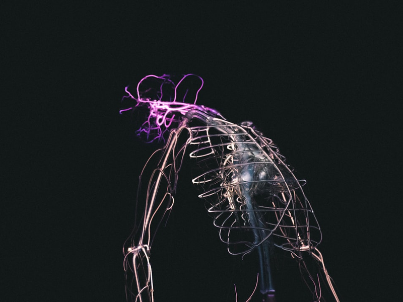 skeletal illustration on black background