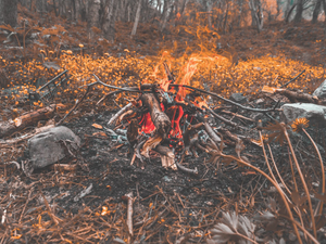 bonfire surrounded by trees