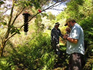 Beetle Monitoring (Lindgren Funnel Trap)