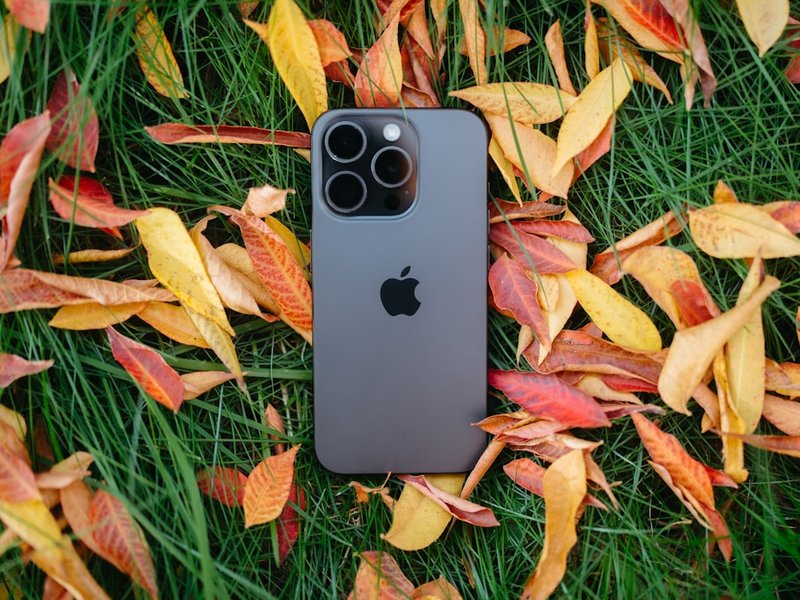 Black Friday tech vibes – Photo of a space gray iPhone Pro sitting in fall leaves.