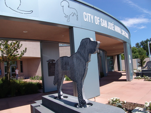 San Jose Animal Shelter