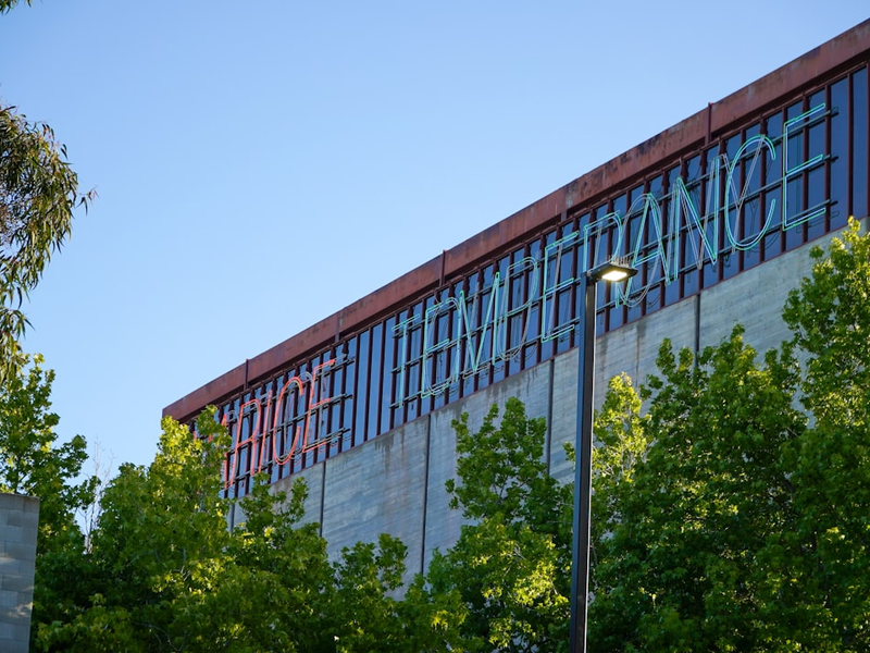 green trees near glass building during daytime