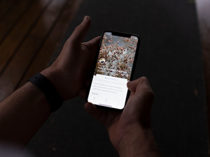 a person holding a cell phone in their hand