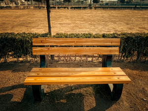 Bench in the park