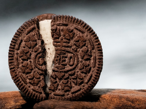 Oreo Cookie resting on top of a piece of driftwood.