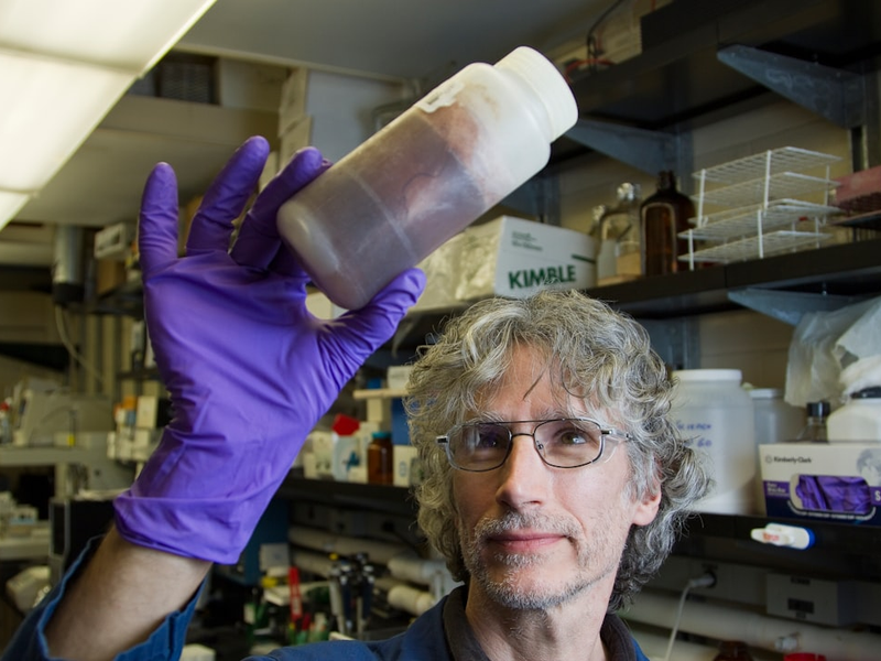 The National Cancer Institute's Natural Products Branch at the Frederick National Laboratory for Cancer Research is the largest program to collect materials worldwide from marine, plant, and microbial sources so they may be studied for possible medical uses. The fermentation lab grows fungal and bacterial cultures in liquid media. These materials are extracted using organic solvents, and eventually tested in the NCI cancer screens.