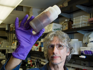 The National Cancer Institute's Natural Products Branch at the Frederick National Laboratory for Cancer Research is the largest program to collect materials worldwide from marine, plant, and microbial sources so they may be studied for possible medical uses. The fermentation lab grows fungal and bacterial cultures in liquid media. These materials are extracted using organic solvents, and eventually tested in the NCI cancer screens.