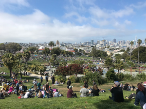 Summer in Dolores Park