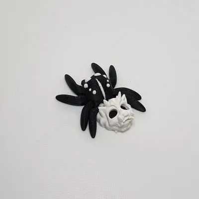 Totenkopfspinne 2