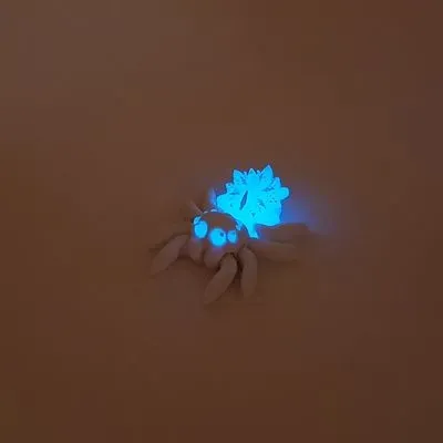 Schneeflockenspinne 2