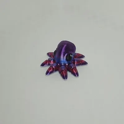 Oktopus (Cinderwing3D)