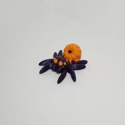 Kürbisspinne