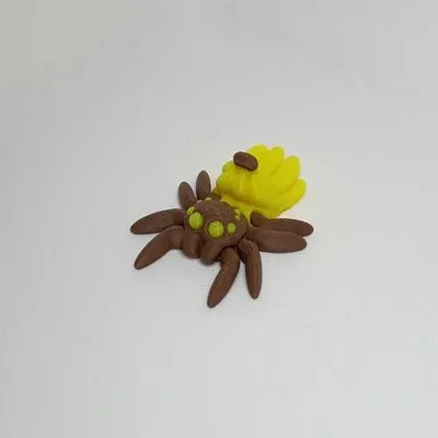 Bananenspinne
