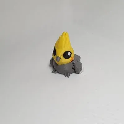 Nymphensittich
