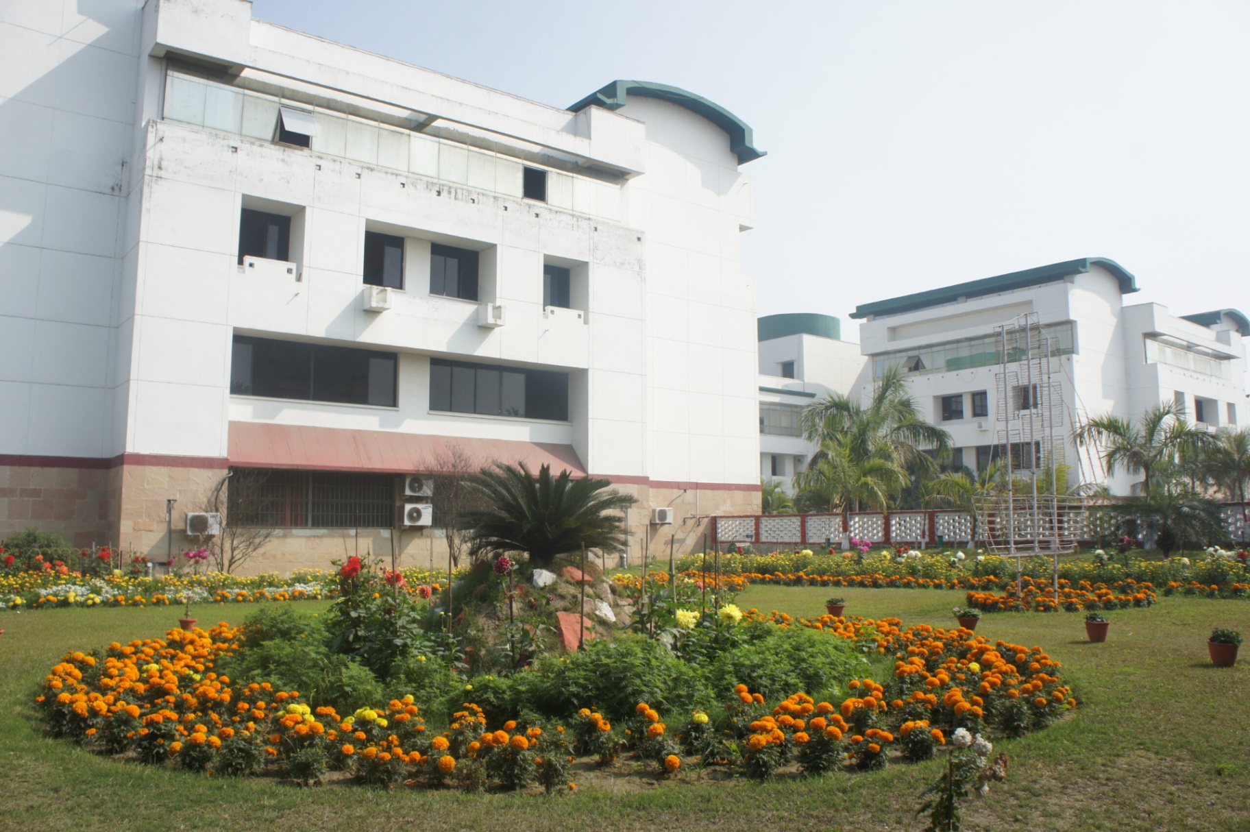 DPS Bhagalpur Campus Gallery 34