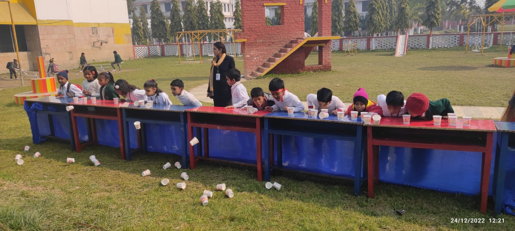 DPS Bhagalpur Campus Gallery 19