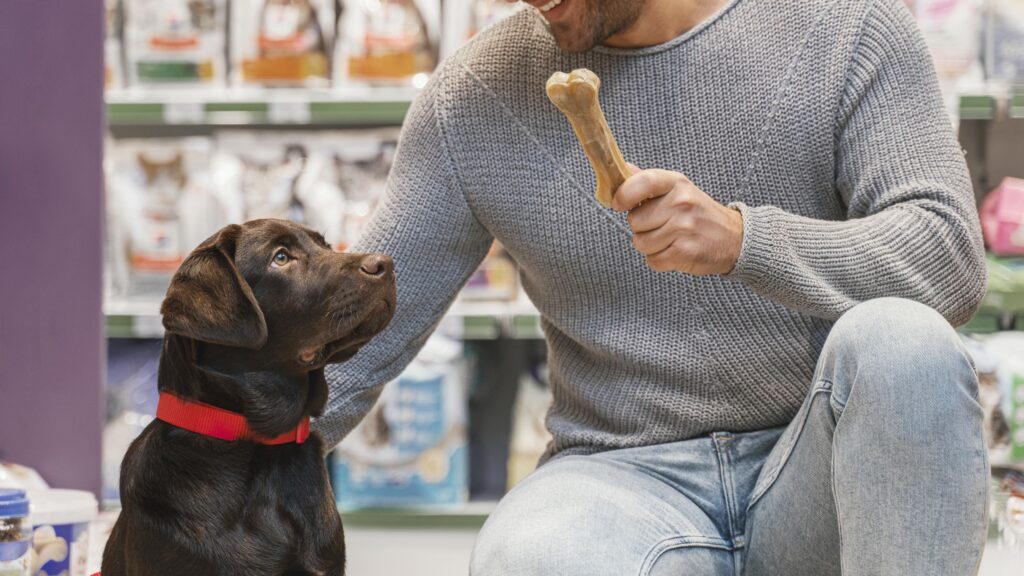 Tendências do Mercado Pet 2026: O Que Está Em Alta no Mercado?