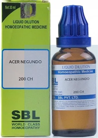 ACER NEGUNDO