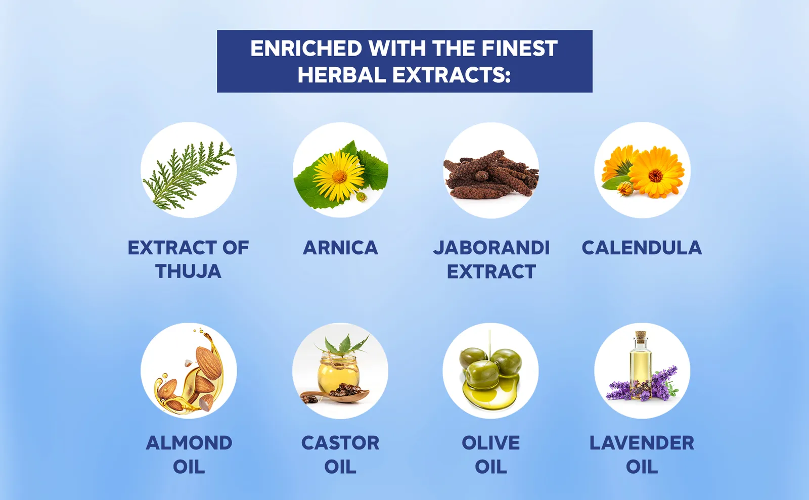 Arnica Montana Fortified Hair Oil (Mineral Oil Free) — thumbnail 3