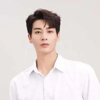 Ai Hongchen