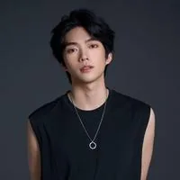 丁星辰