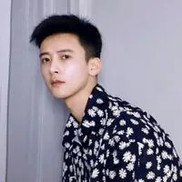 Feng Junxi