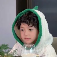 한문헌(한원쉬안)