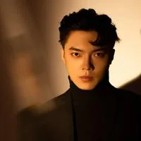 He Wenyi