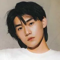 Li Chengxi
