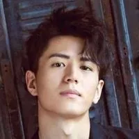 Li Jiulin