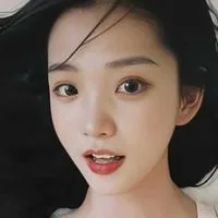 Li Zhenmei