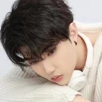 Liu Maiqi