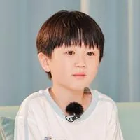 梅斯辰