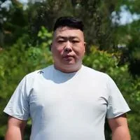 鹏飞