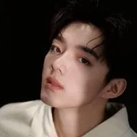 오홍헌(우훙쉬안)