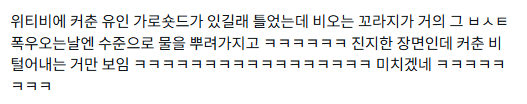가순(커춘)