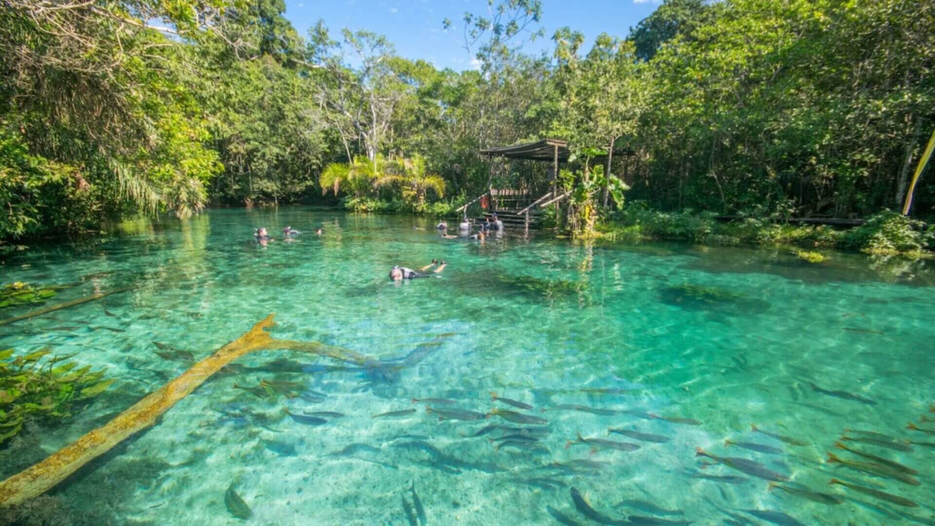 Foto de Bonito