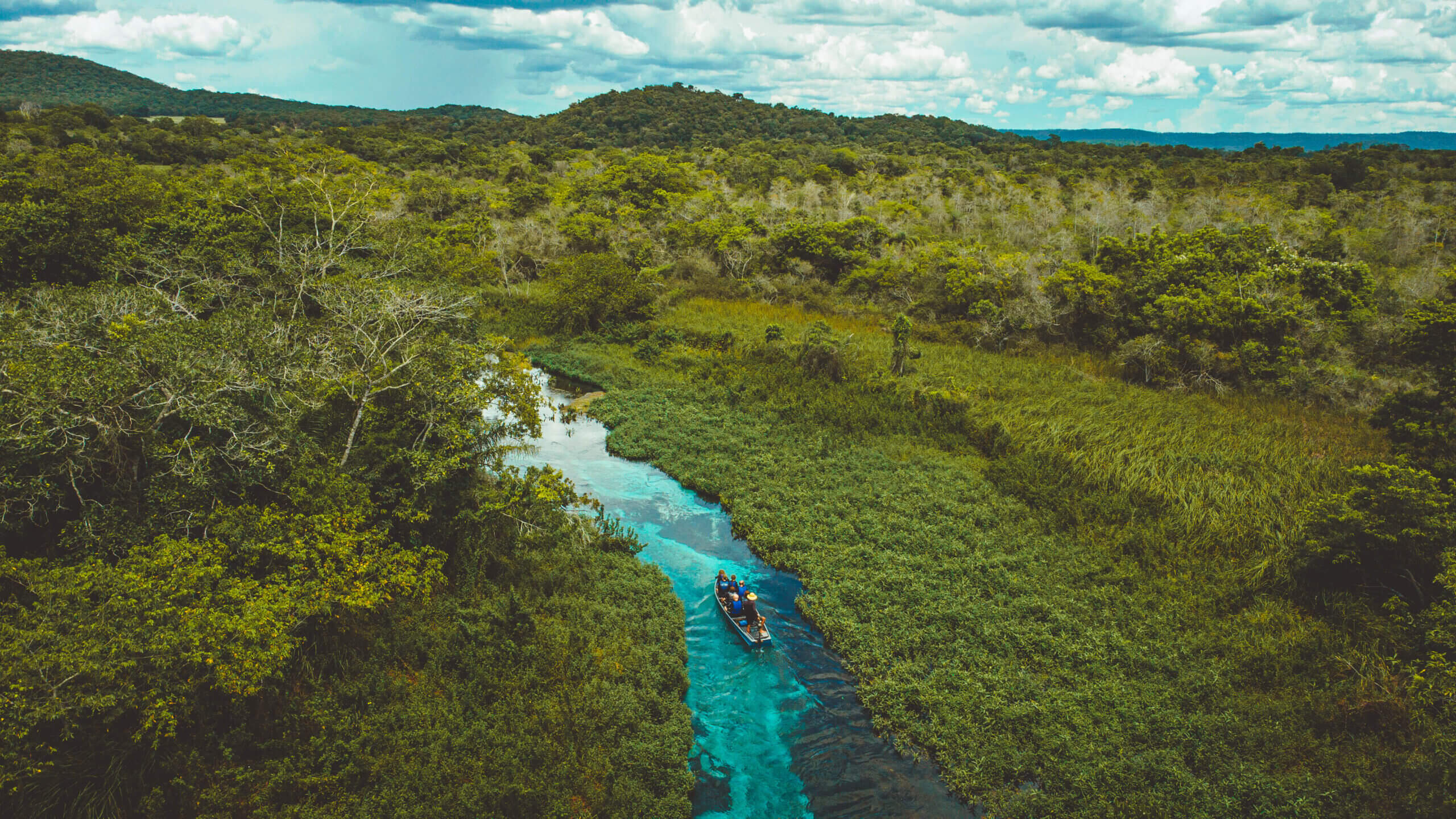 Foto de Bonito