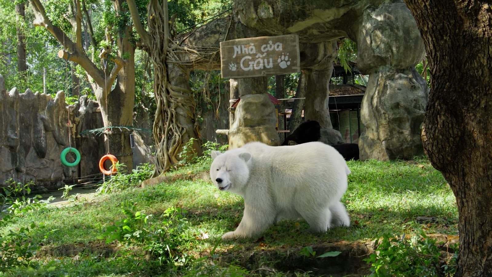 CGI vs live action vs AI: how to choose for a brand film