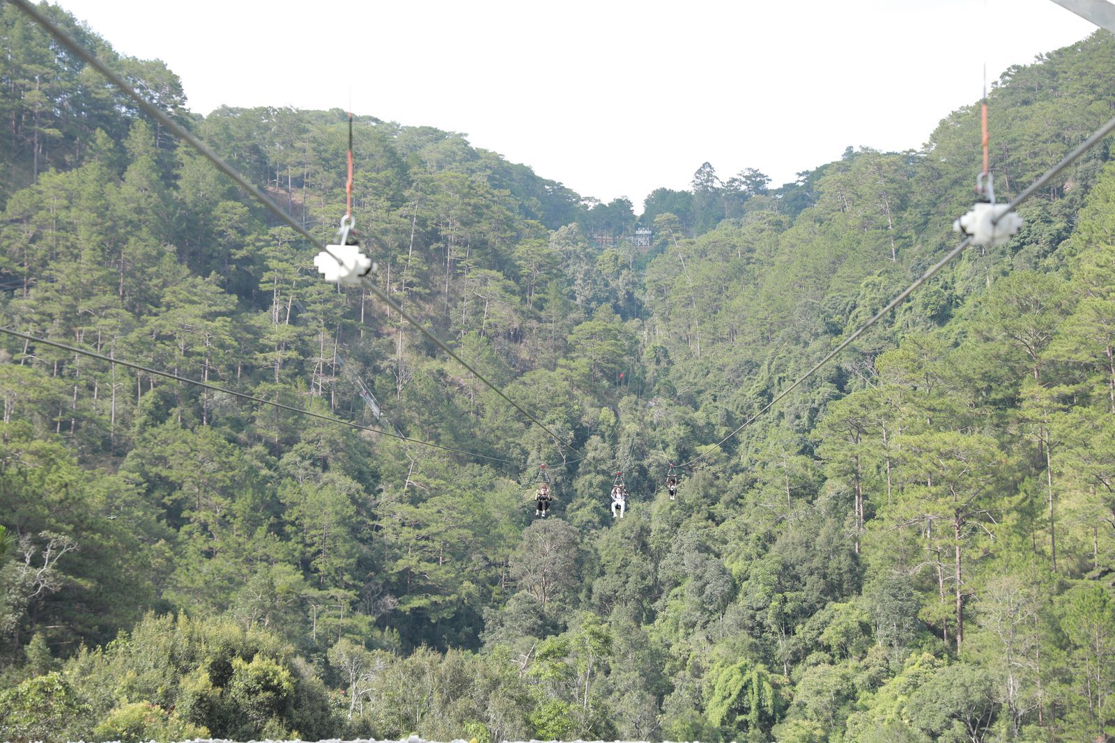 Đà Lạt, a speck on the zipline