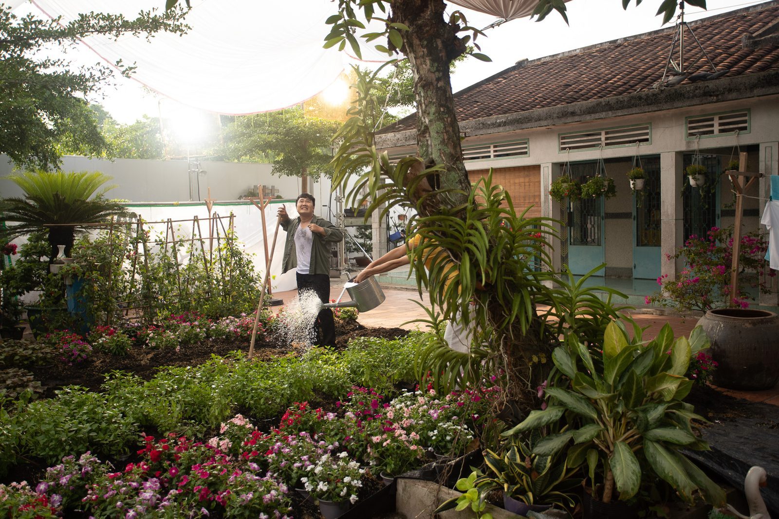 Surf, the garden set at sunrise