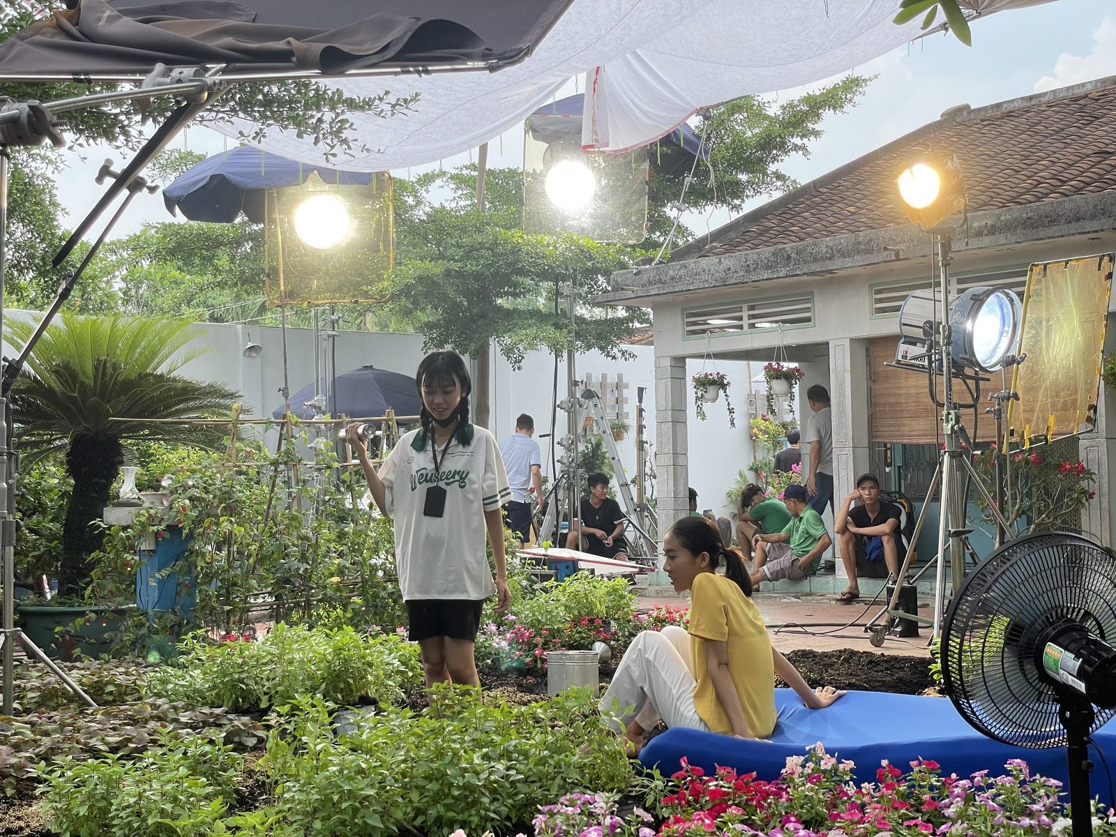 Surf, test day: the garden lit at night
