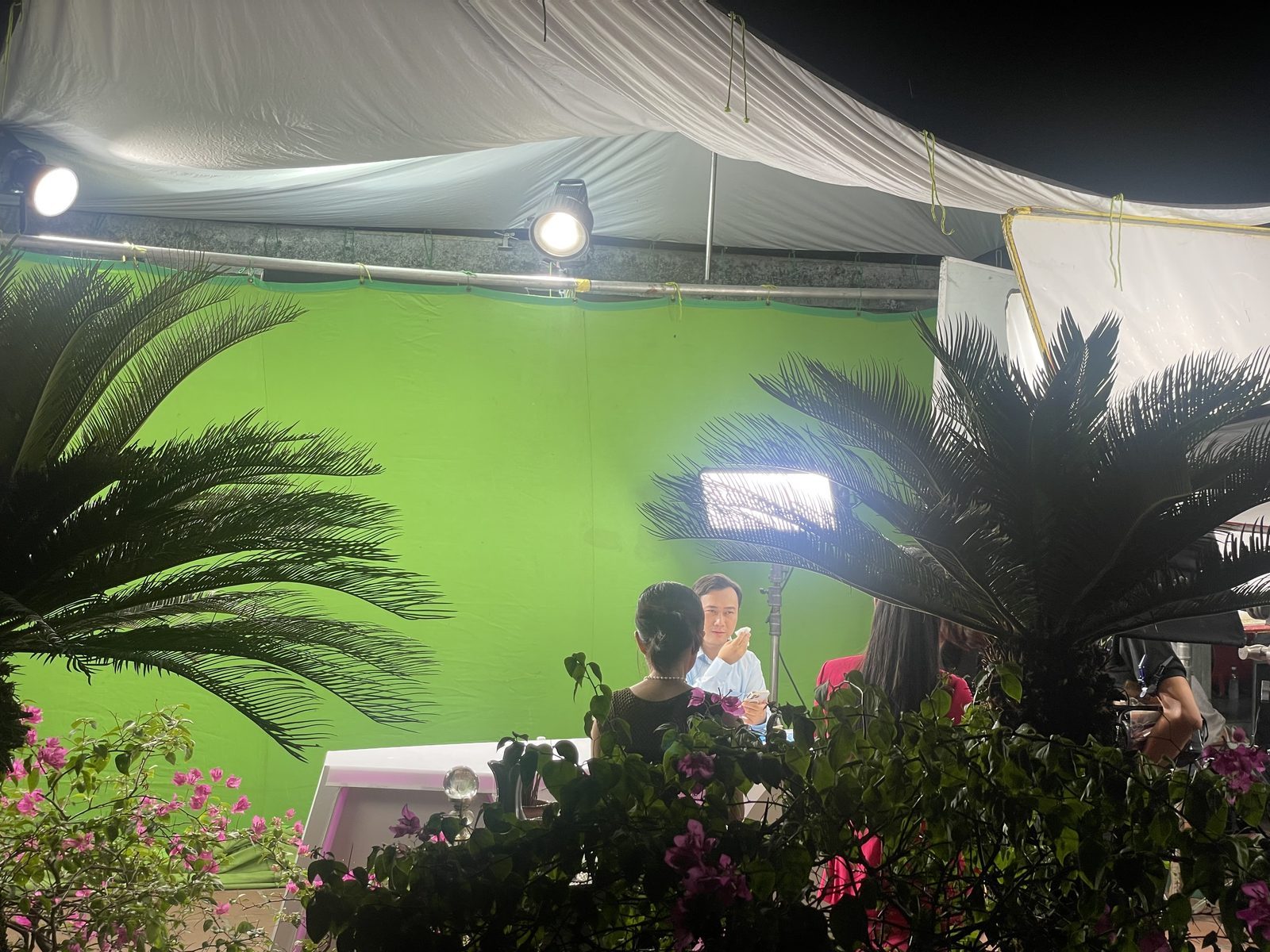 Surf, test day: green screen in the garden