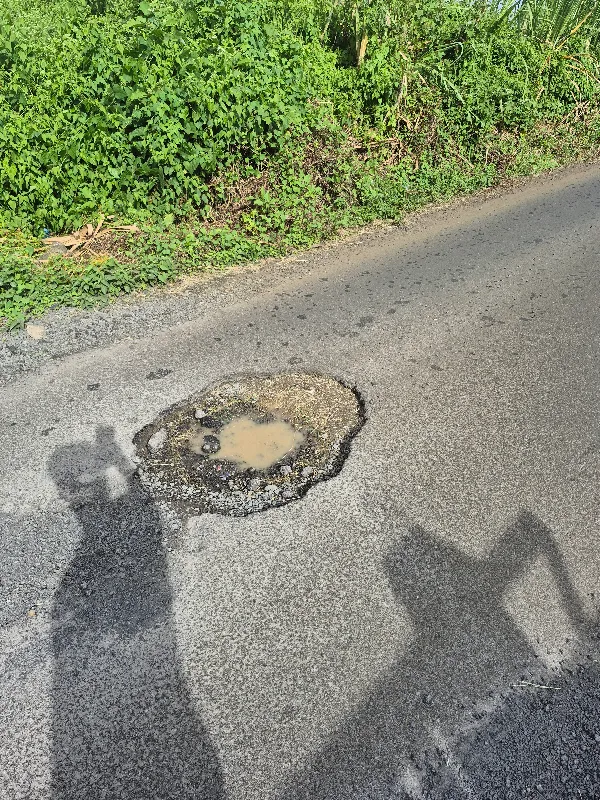 Report image 1